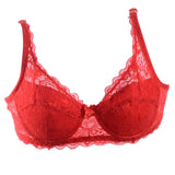 Hot Women Sexy Underwire Padded Up Embroidery Lace Bra